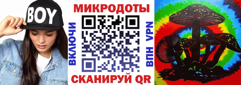 Галлюциногенные грибы Psilocybine cubensis  Верхний Уфалей 
